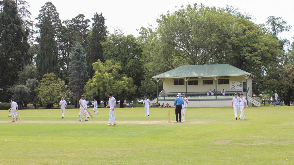 Wairarapa-Cricket-16