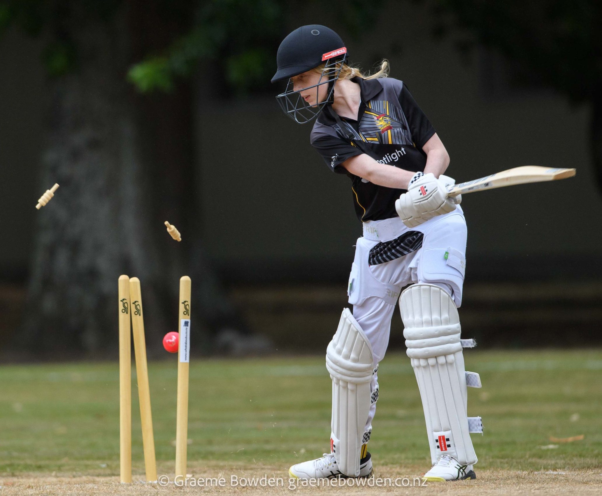 Wellington bowled