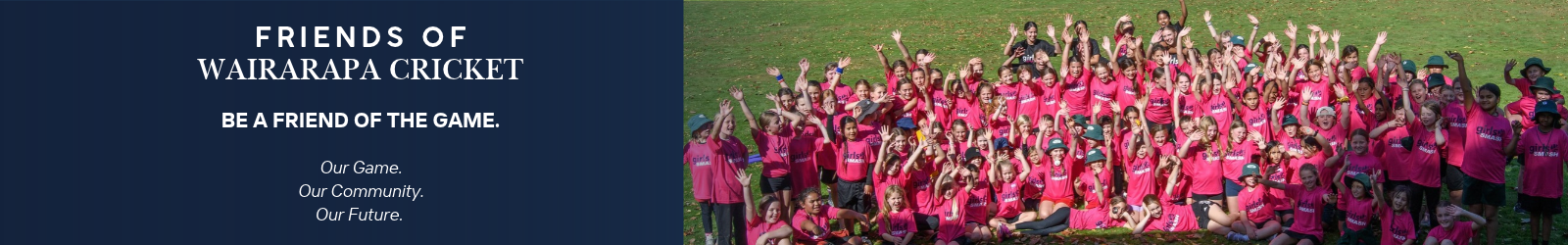 Friends of Wairarapa Cricket